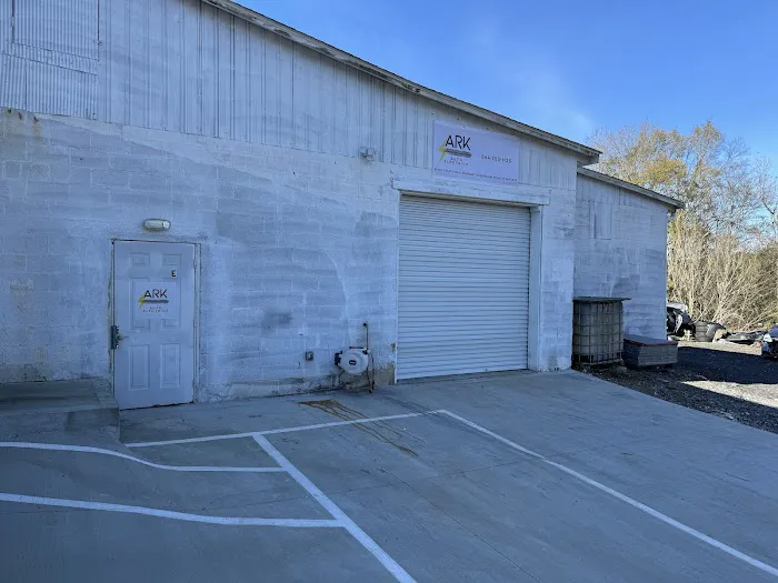 ARK Auto Electric 1
