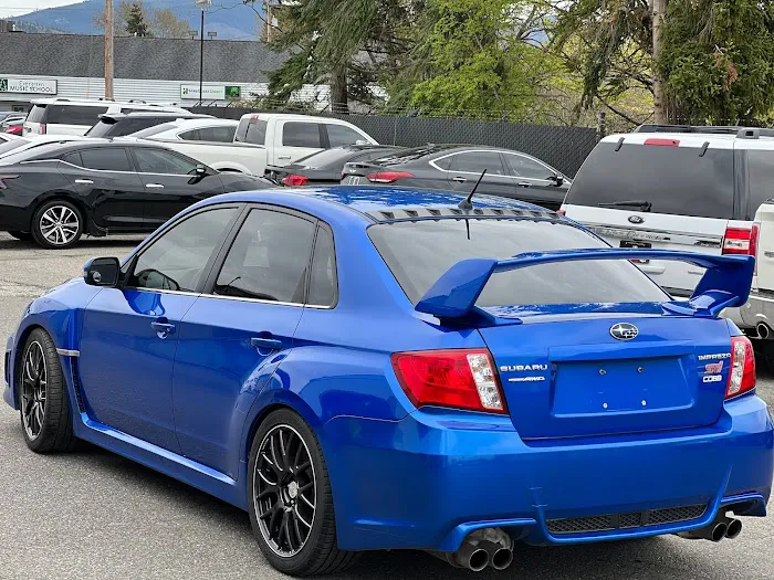 SS Premium Tint 0