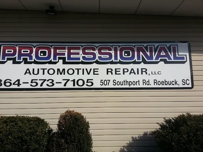 Professional Automotive Repair 2