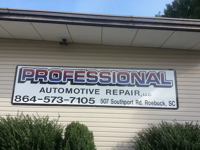 Professional Automotive Repair 1