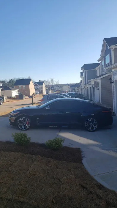 Showtime Window Tinting 3