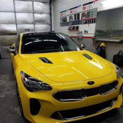 Showtime Window Tinting ico