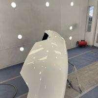 Vicks Auto Paint