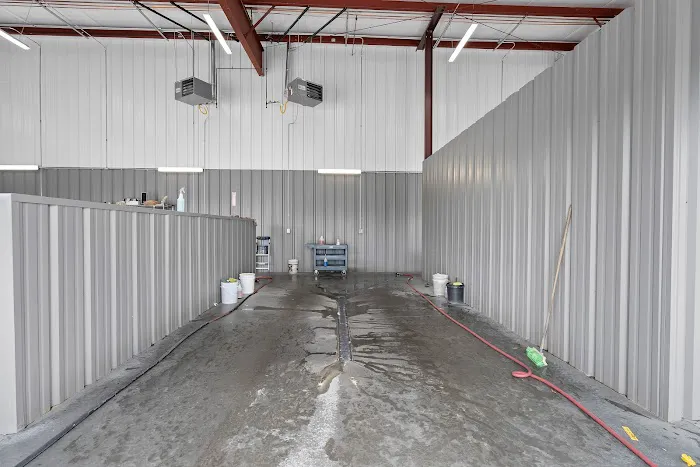 Fred Anderson Collision - Greenville 2