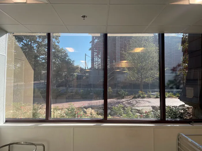 iTint Automobile Commercial Residential Window Tinting 3