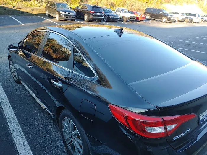 Tint Solutions Window Tinting 8