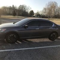 Perfect Darkness Tint