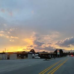 NAPA Auto Parts - B&W Auto Supply ico