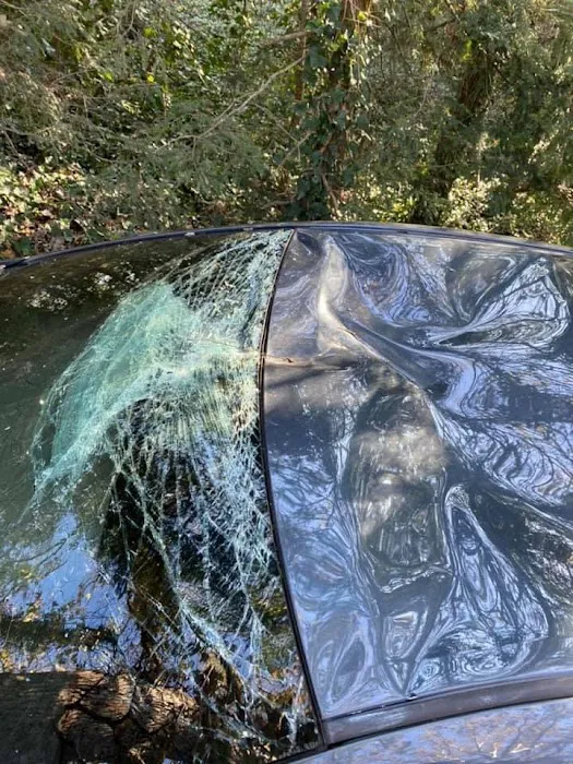 Collins Auto Paint & Body 2