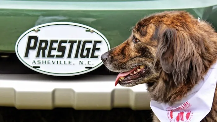 Fred Anderson's Prestige Subaru Service Center 9