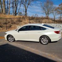 ProTech Tinting