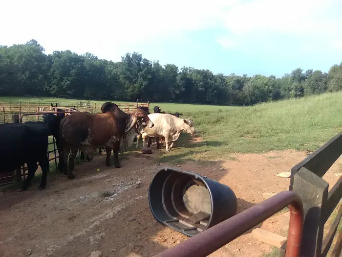 Russell's Diesel Services 8