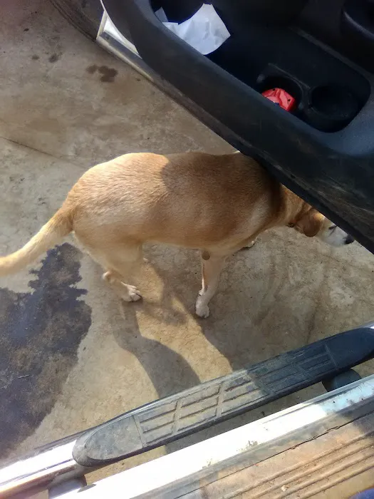 Russell's Diesel Services 5