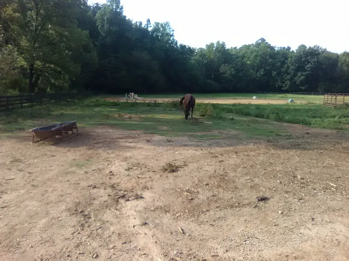 Russell's Diesel Services 7