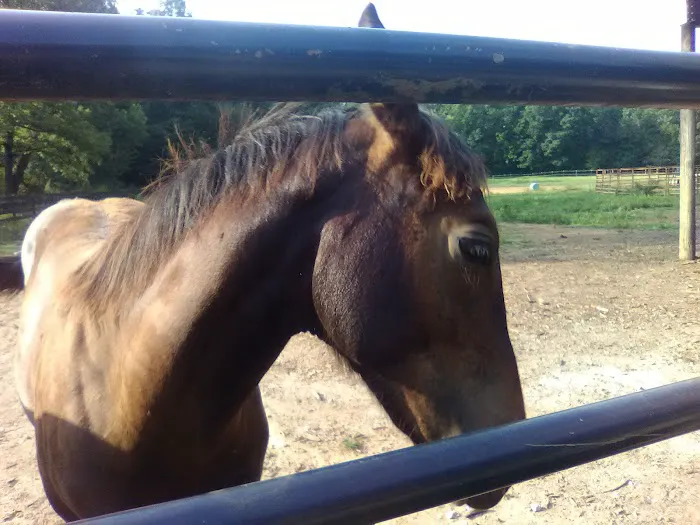 Russell's Diesel Services 4