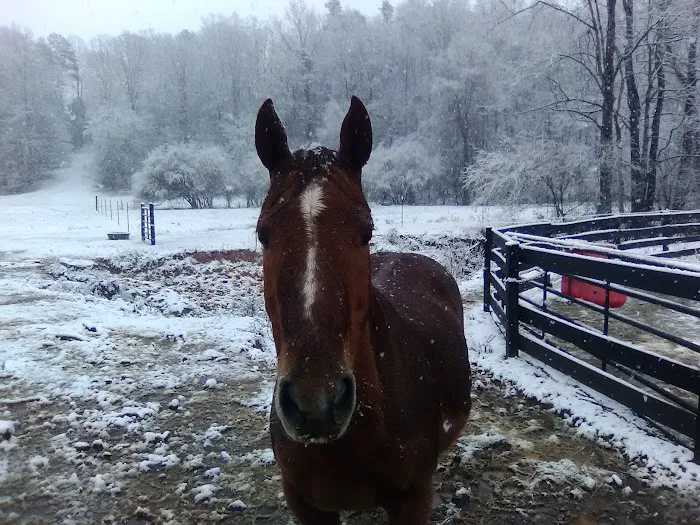 Russell's Diesel Services 6