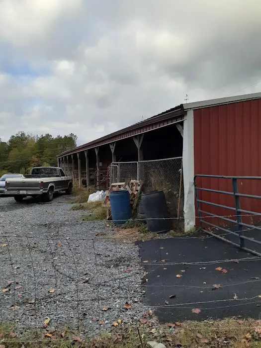 Kim's Automotive LLC 0