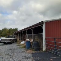 Kim's Automotive LLC