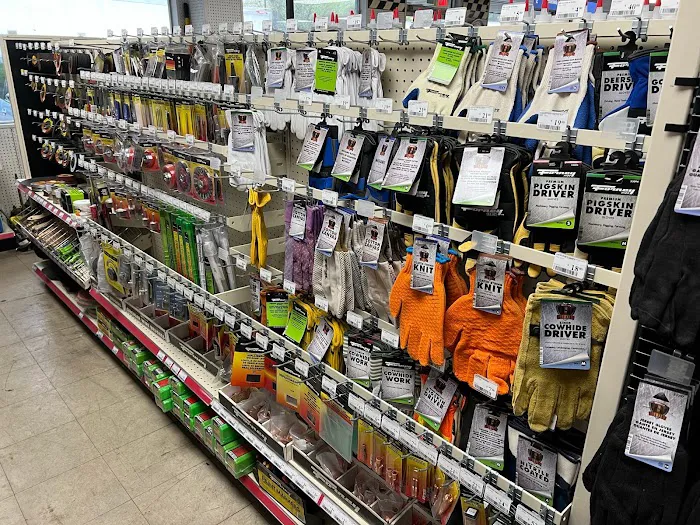Carquest K&D Auto Parts 9