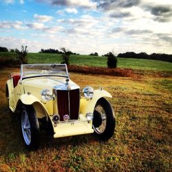 Custom Works By Michael ico