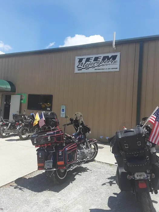 Teem Motorsports LLC 8
