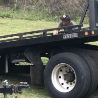 TNT tires and tuneups