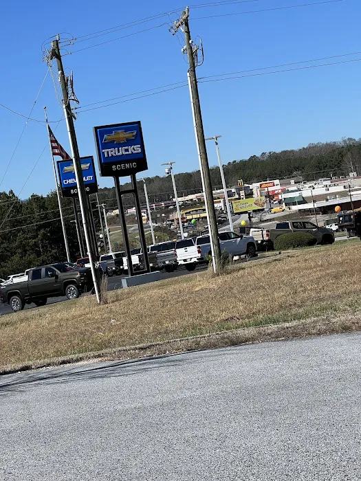 Scenic Chevrolet Auto Parts 4