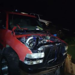 Northeast Georgia Diesel ico