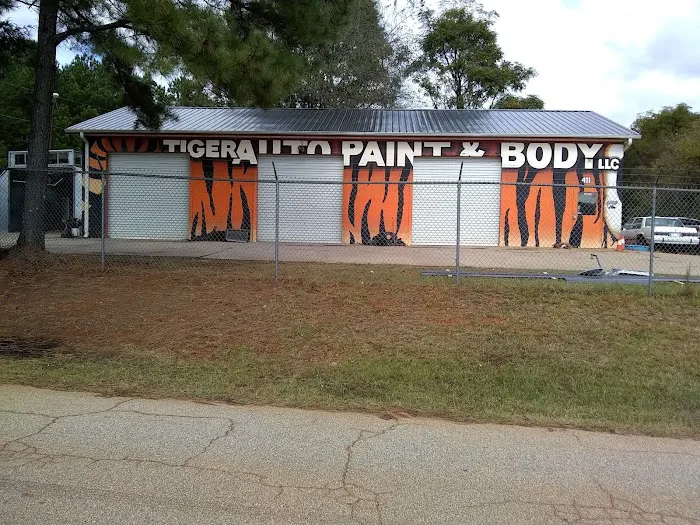 Tiger Auto Paint & Body LLC 7