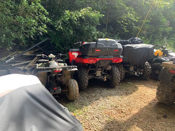 Wheelies Powersports 8