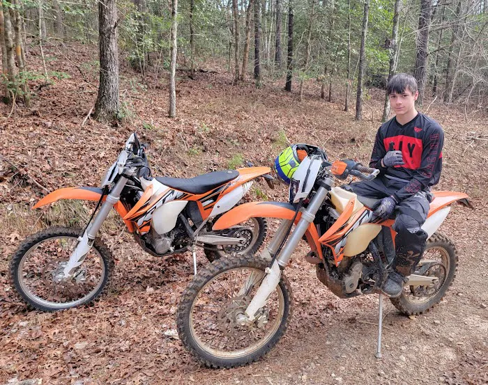 Wheelies Powersports 6