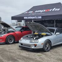 N.M. Imports Performance