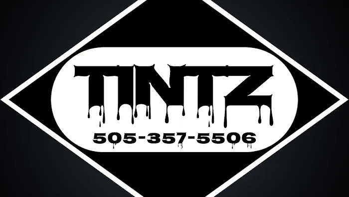 TINTZ 6