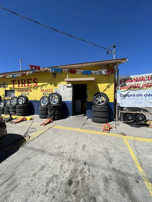 La Camelia Wheels And Tires 3