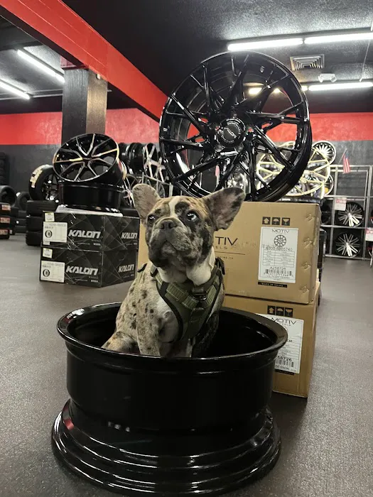 RAW Wheels & Tires 3