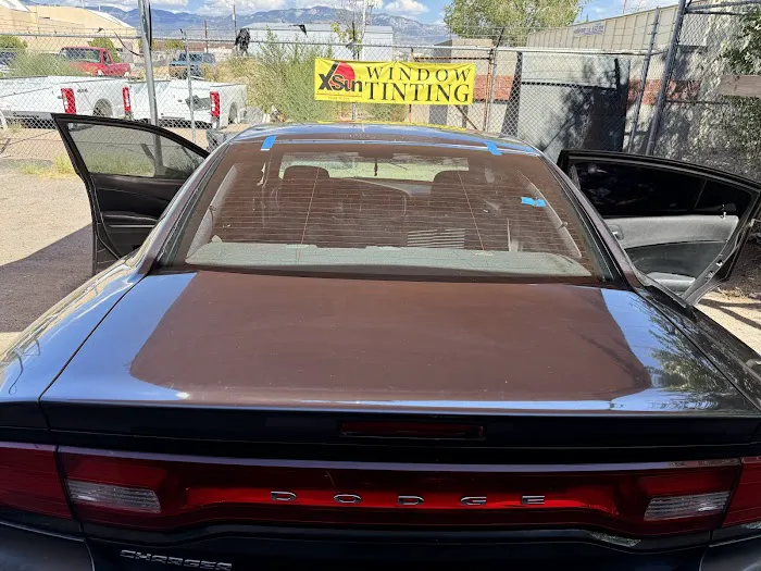 Tint Palace & Auto Glass Llc 9