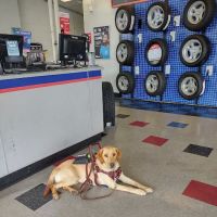 Firestone Complete Auto Care