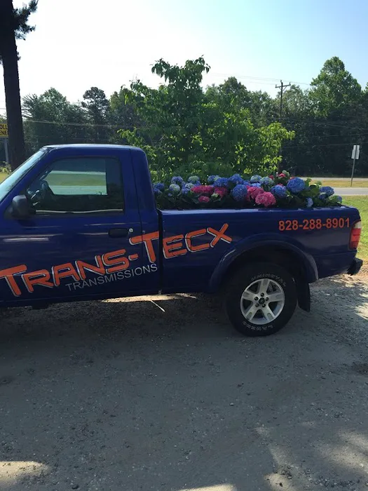 Trans Tecx Transmissions 6