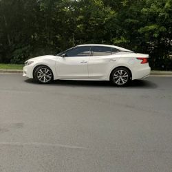 Western Carolina Window Tint ico