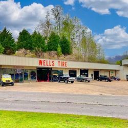 Wells Tire ico