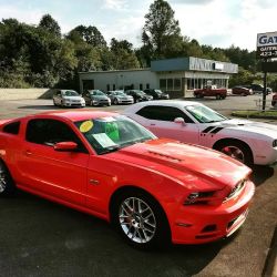 Toby's Custom Tinting ico