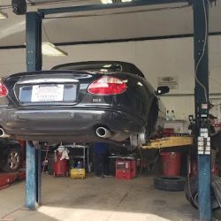 Porter's Tire Store ico