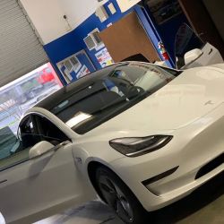 Express Window Tinting ico
