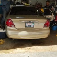 Window Tint