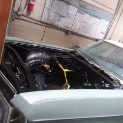 Tapia's Auto Body & Paint Shop LLC ico