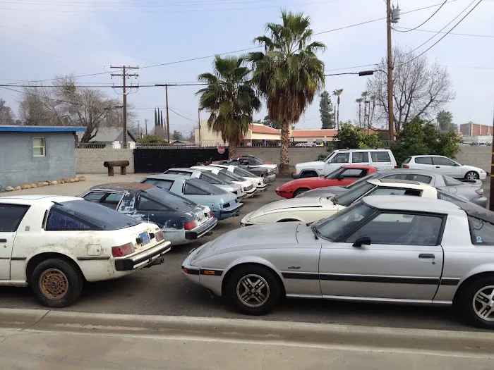 Palm Tree Rotary 1