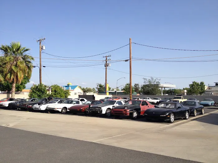 Palm Tree Rotary 4