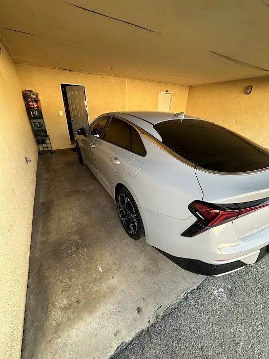 CALIFORNIA AUDIO & TINT 2