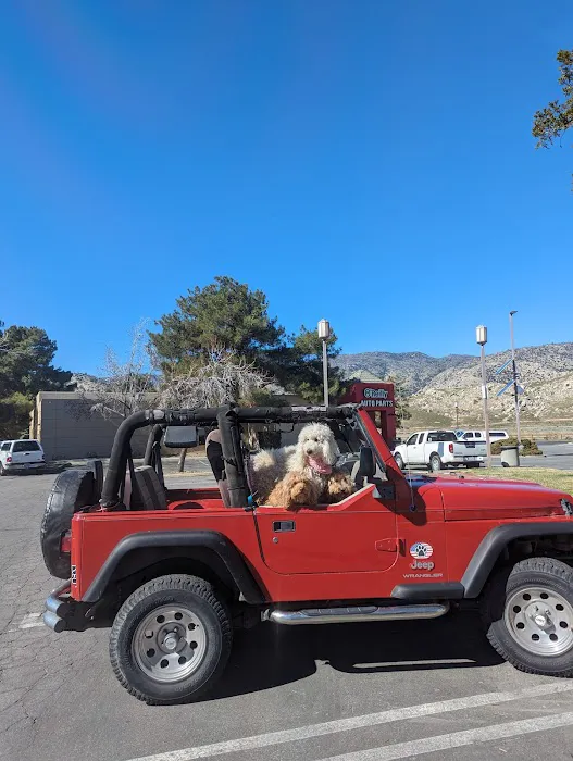 O'Reilly Auto Parts 3