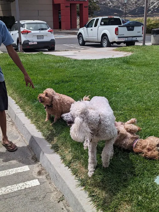 O'Reilly Auto Parts 5